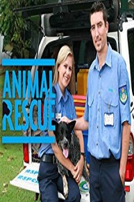 Animal Rescue