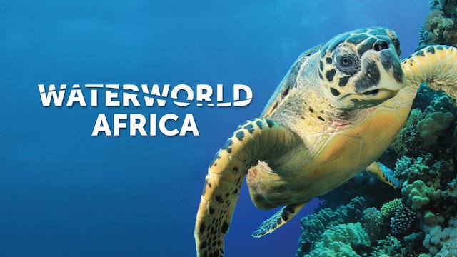 Watch Waterworld Africa Online