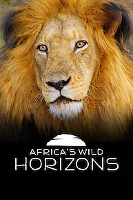 Africa's Wild Horizons