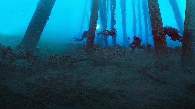 Watch Reef Wrecks Online