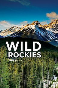 Wild Rockies