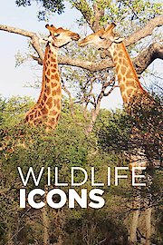 Wildlife Icons poster