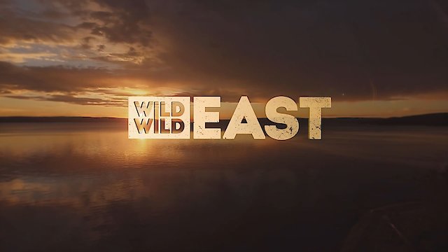 Watch Wild Wild East Online