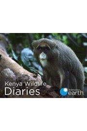 Kenya Wildlife Diaries poster