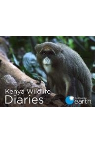 Kenya Wildlife Diaries