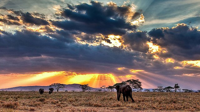 Watch Nomads of the Serengeti Online