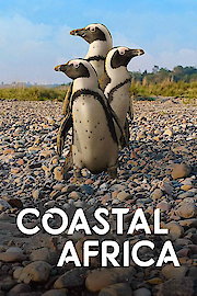 Coastal Africa poster
