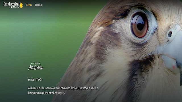 Watch Wild Birds of Australia Online