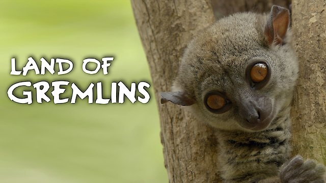 Watch Land of Gremlins Online