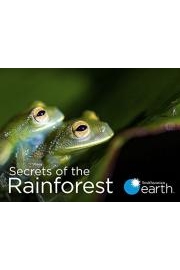 Secrets of the Rainforest poster
