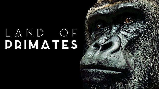 Watch Land of Primates Online