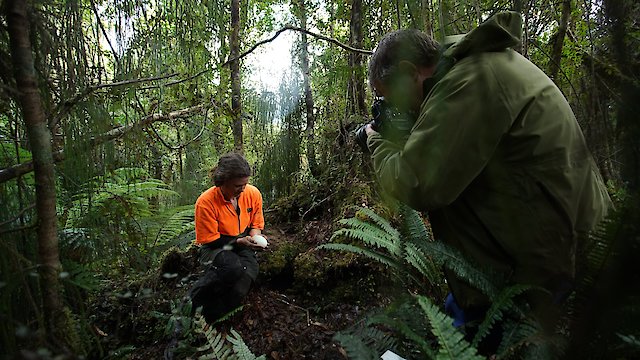 Watch Rare: Creatures of the Photo Ark Online