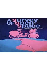 A Survey of Open Space poster