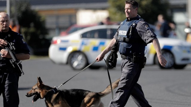 Watch Animal Cops: On Patrol Online