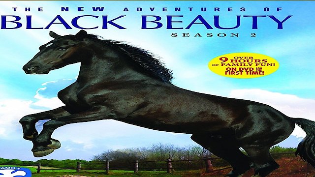 Watch The New Adventures of Black Beauty Online