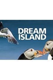 Dream Island poster