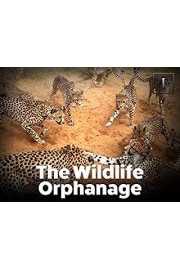 The Wildlife Orphanage poster