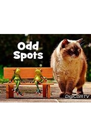 Odd Spots poster
