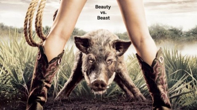 Watch Lady Hoggers Online