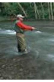 Fly Fish Like A Pro