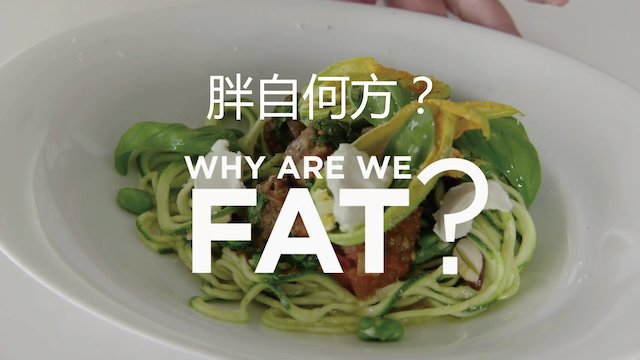 Watch Why Are We Fat? Online
