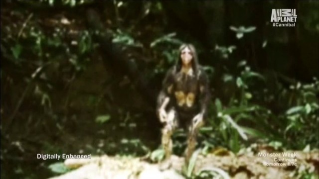 Watch The Cannibal in the Jungle Online