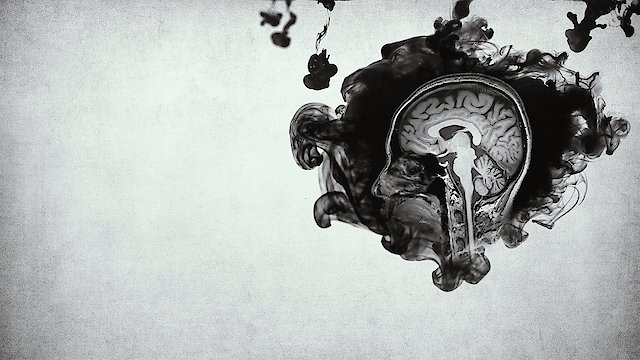 Watch Inside the Criminal Mind Online