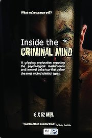 Inside the Criminal Mind poster