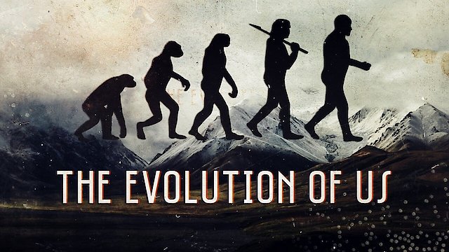 Watch The Evolution of Us Online