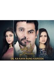 Dil Ka Kya Rung Karun poster