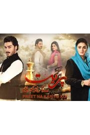 Preet Na Kariyo Koi poster