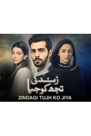 Zindagi Tujh Ko Jiya poster