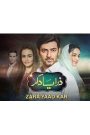 Zara Yaad Kar poster