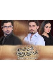 Mohabbat Ab Nahi Hogi poster