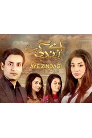 Aye Zindagi poster
