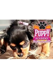 Puppy Academy: Dog Training Guide poster