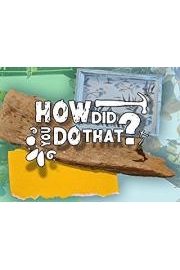 How Did You Do That poster