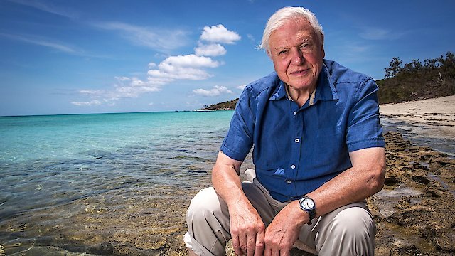 Watch David Attenborough's Great Barrier Reef Online