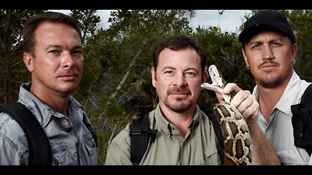 Watch Python Hunters Online