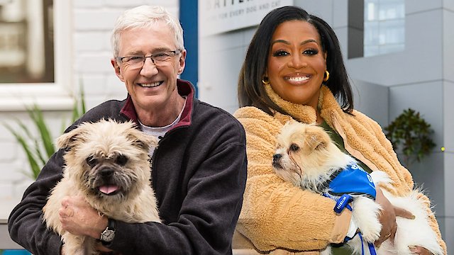 Watch Paul O'Grady: For the Love of Dogs Online