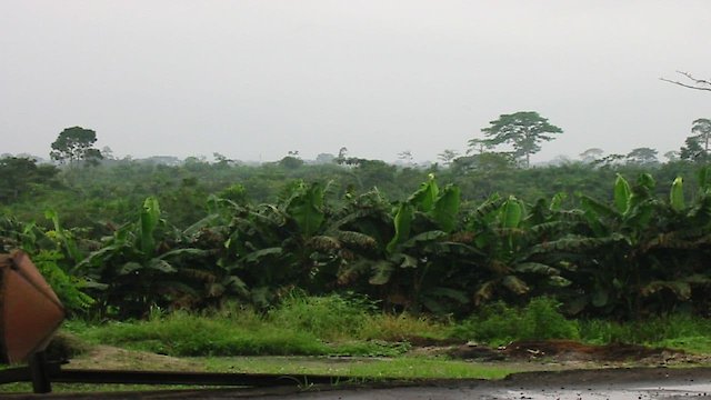 Watch Fearless Planet Online