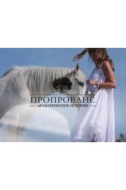 Provence: Dramatic Stories poster