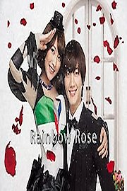 Rainbow Rose poster
