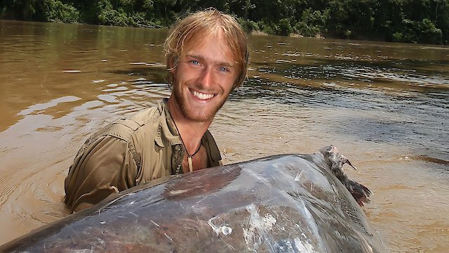 Watch Fish Warrior Online