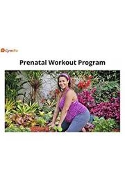 Prenatal Workout Program poster