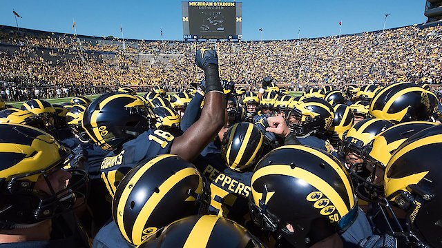 Watch All or Nothing: The Michigan Wolverines Online