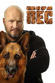 The Dog