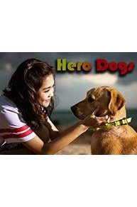 Hero Dogs