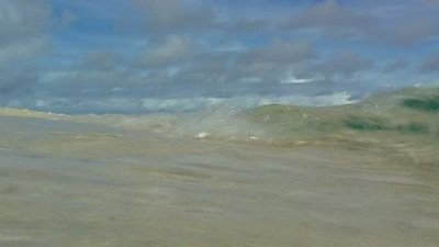 Coral Seas