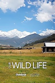 Our Wild Life